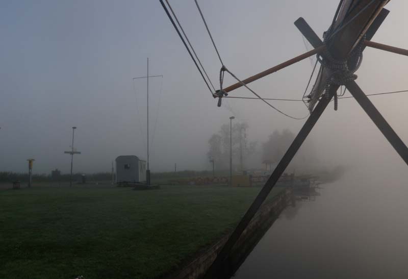 Morgennebel