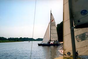 Cat auf der Dove-Elbe