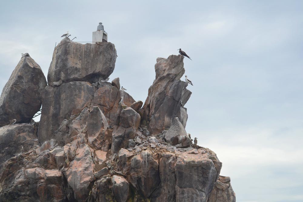 Galapagos