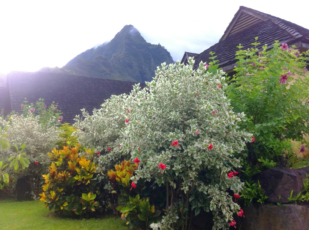 Marquesas
